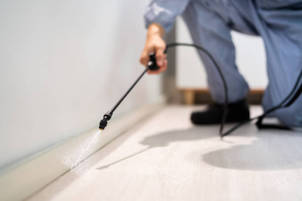 Bed Bug Pre-Treatment Preparation Assessment in West Jefferson