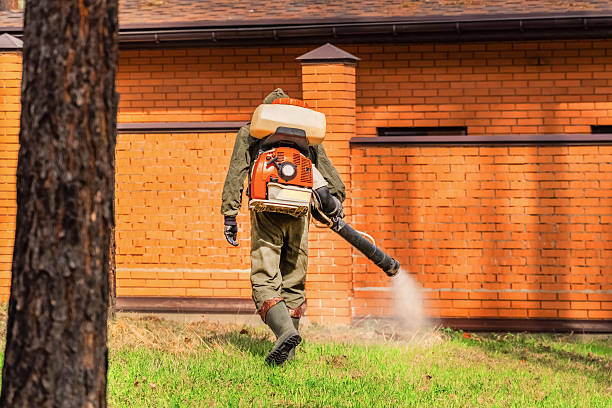 Bed Bug Clearance Verification and Documentation in West Jefferson